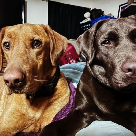 Meet your Posher, Jimmy - Picture 1 of 1